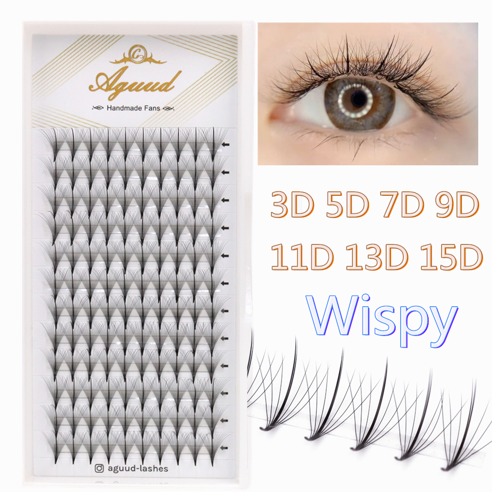 AGUUD Pointy Base Wispy Premad – Eyelash Extension Hybrid Bewertung und Preis