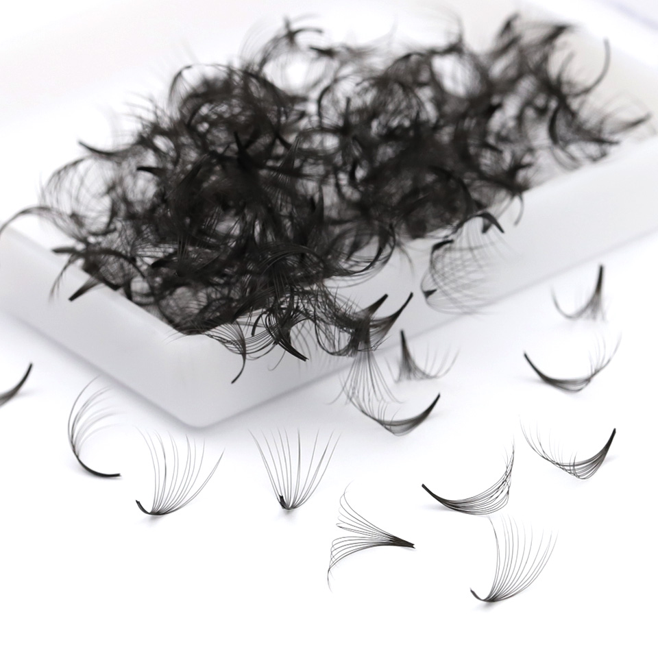 AGUUD All Size Loose Fan Eyela – Mega Volume Lash Bewertung und Preis