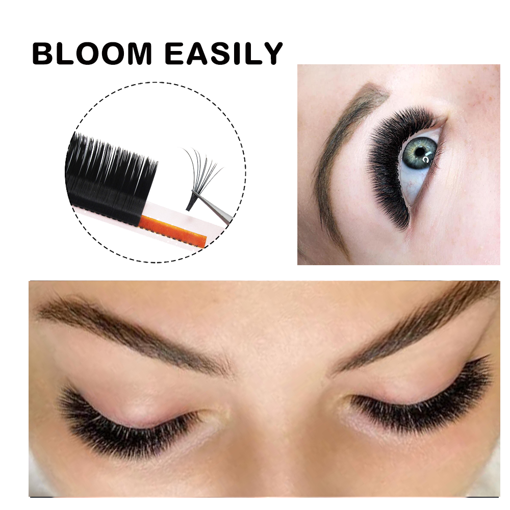 MASSCAKU Easy Fanning Volume M – Mega Volume Lash Bewertung und Preis