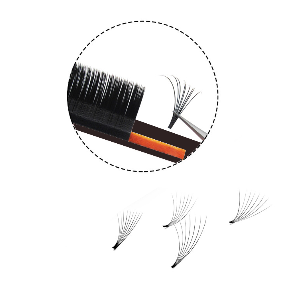 MASSCAKU Easy Fanning Volume M – Mega Volume Lash Bewertung und Preis