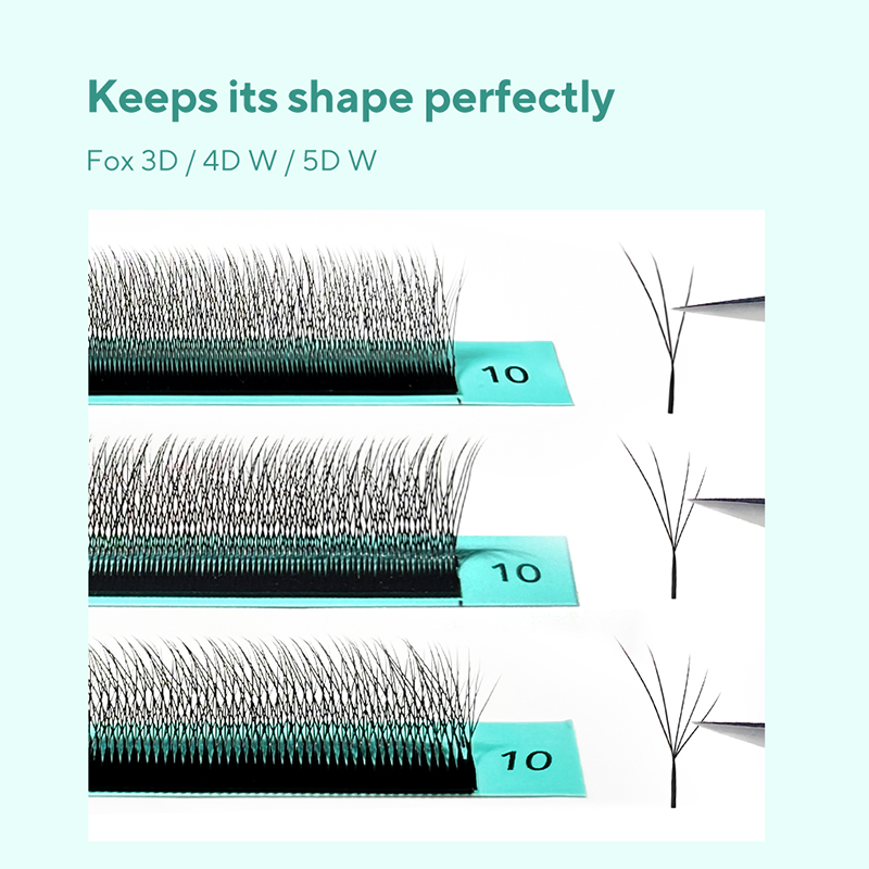 DIYDAY Foxy W-Shaped 3D 4D 5D  – Eyelash Extension Volume Cat Eye Bewertung und Preis