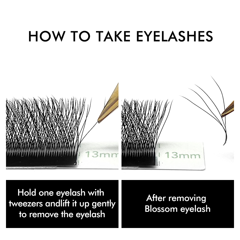 NATUHANA W-Shaped 4D 5D Volume – Eyelash Extension Wet Look Bewertung und Preis