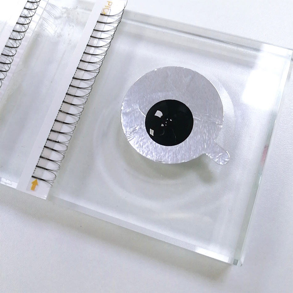 300Pcs/pack Disposable Waterpr – Lash Mapping Sticker Bewertung und Preis