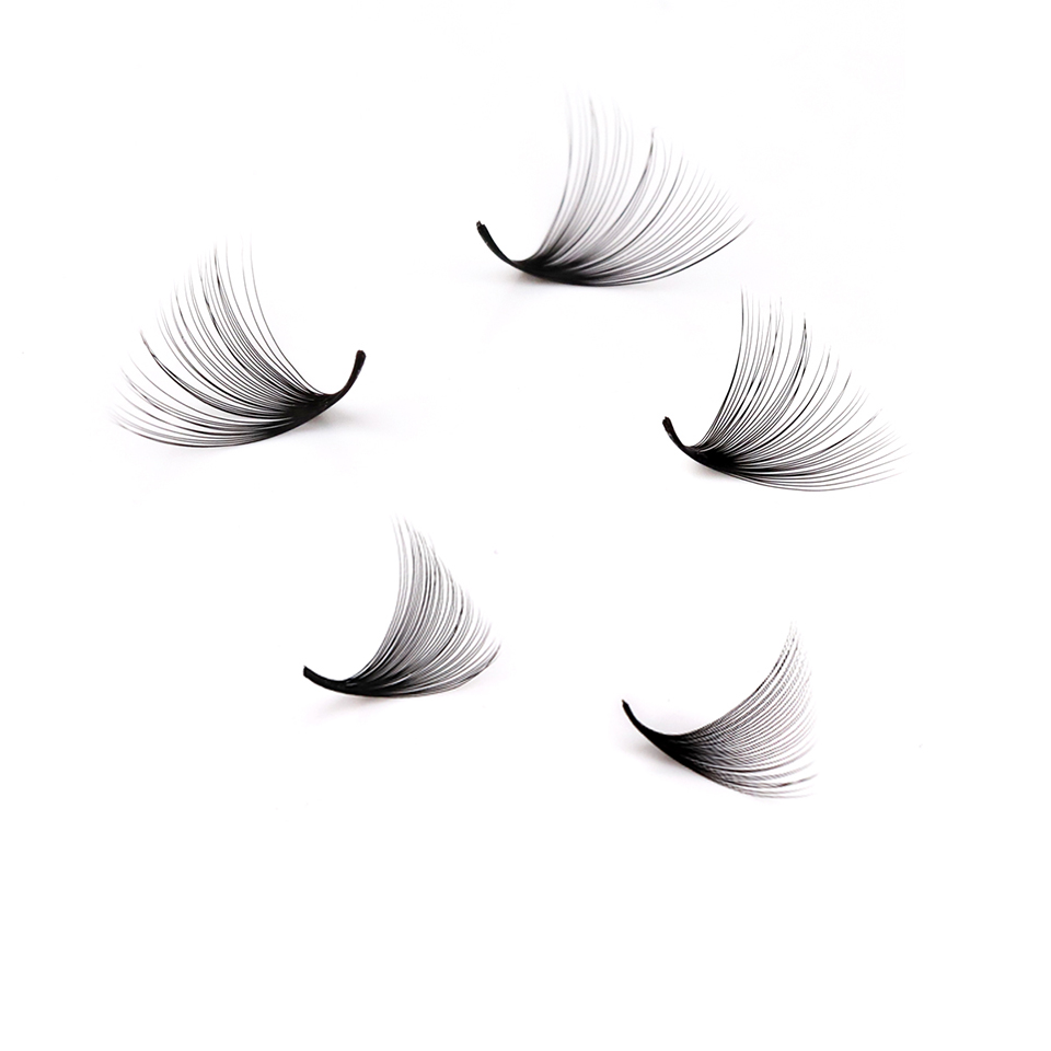 Lashprofessor XL Tray 3D 4D 5D – Mega Volume Lash Bewertung und Preis