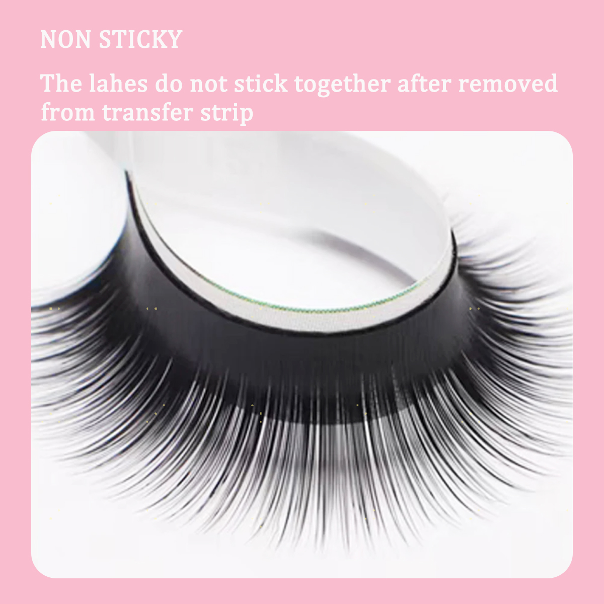Camellia False Eyelashes LC LB – Eyelash Extension Wet Look Bewertung und Preis