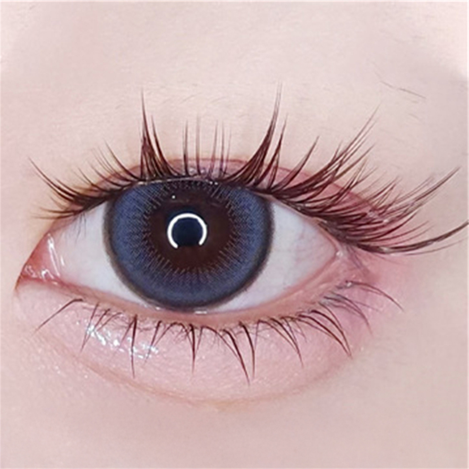 10rows Cat Eye Anime Lower Fal – Eyelash Extension Volume Cat Eye Bewertung und Preis