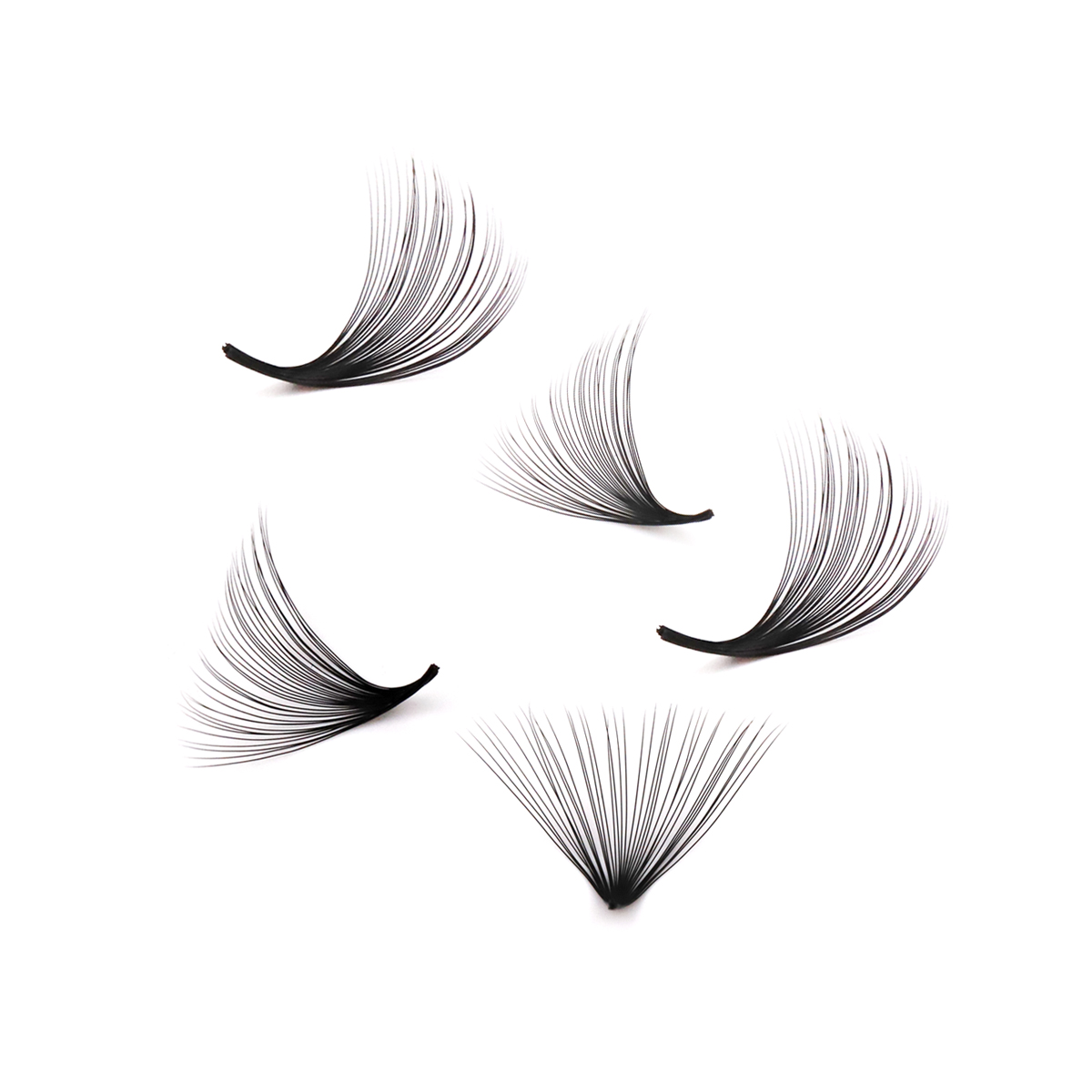 Aguud 2500 Fans Loose Fans Poi – Mega Volume Lash Bewertung und Preis