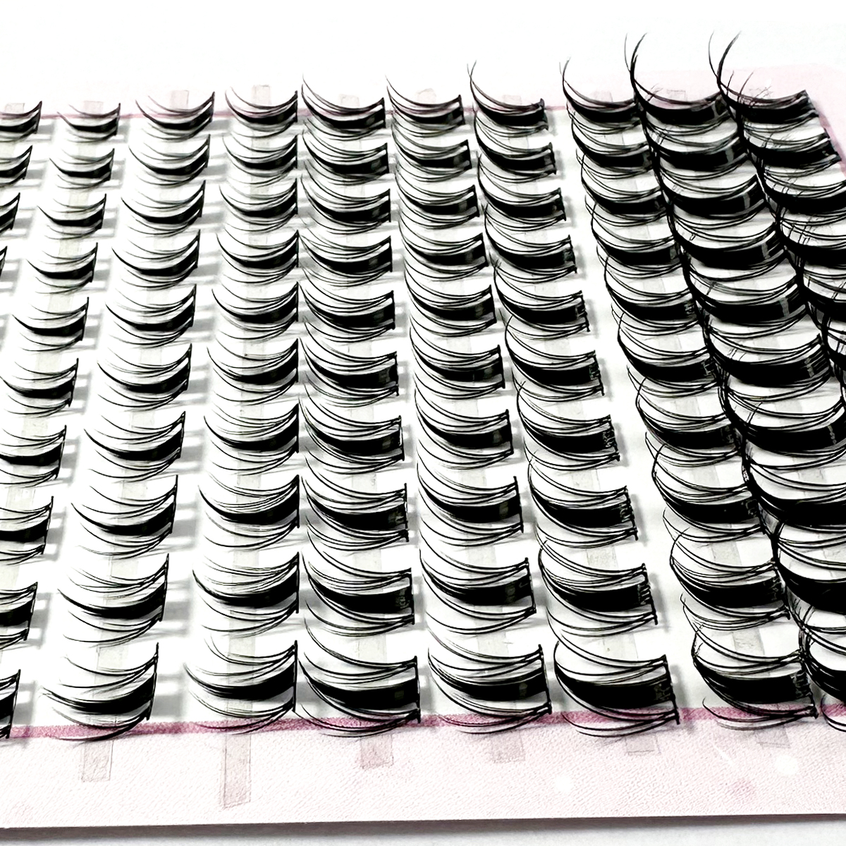 New 8-16mm Fairy Lash Clusters – Eyelash Extension Wet Look Bewertung und Preis