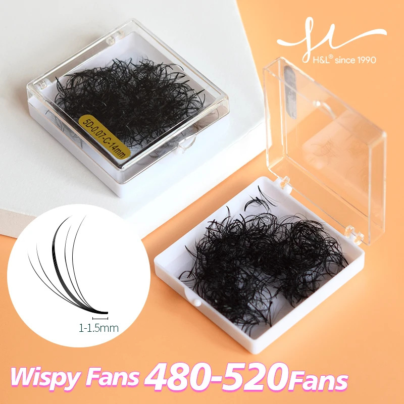 H&L SINCE 1990 PreMade Wispy F – Eyelash Extension Hybrid Bewertung und Preis