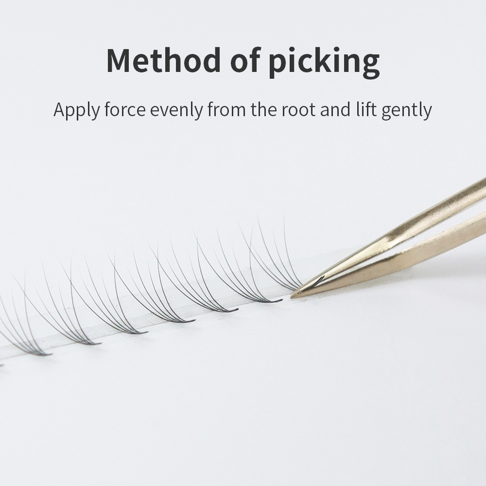 GLAMLASH Premade Volume Fan Ey – Mega Volume Lash Bewertung und Preis