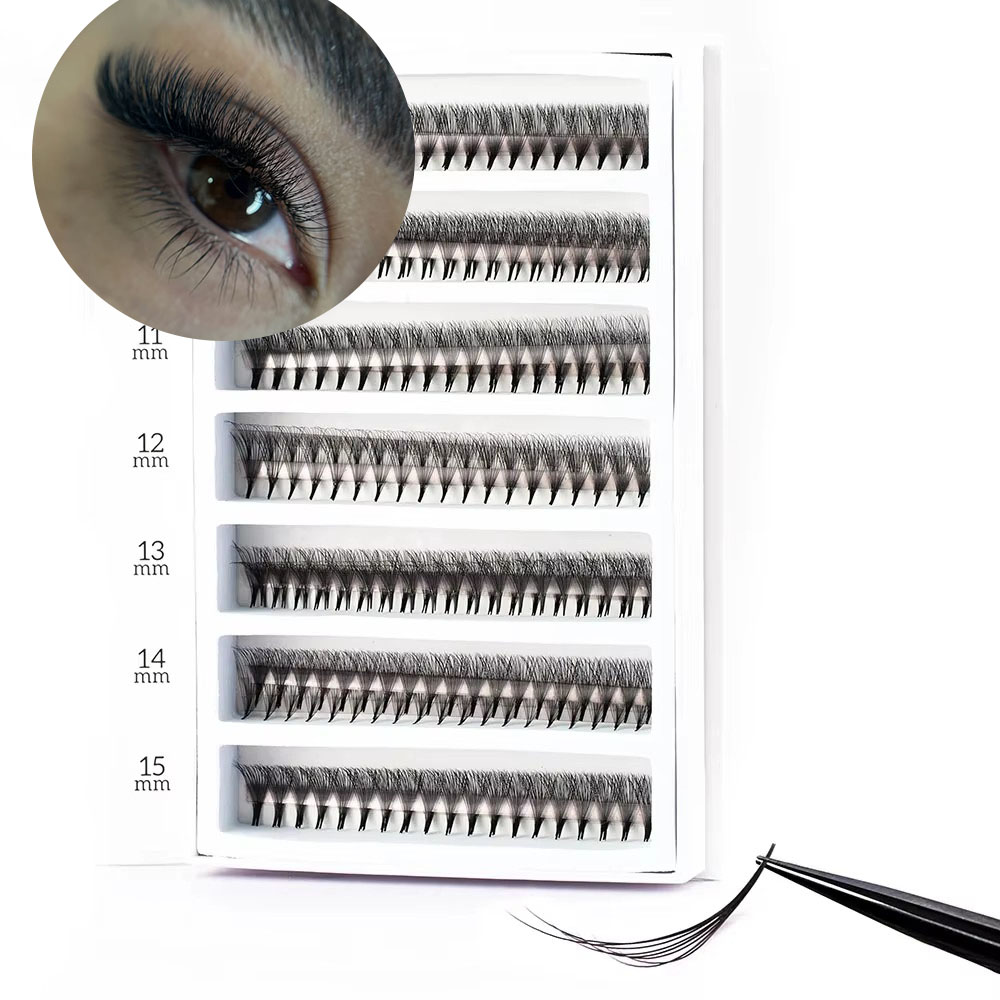 1600 Fans 0.05 Handmade 8-30D  – Mega Volume Lash Bewertung und Preis