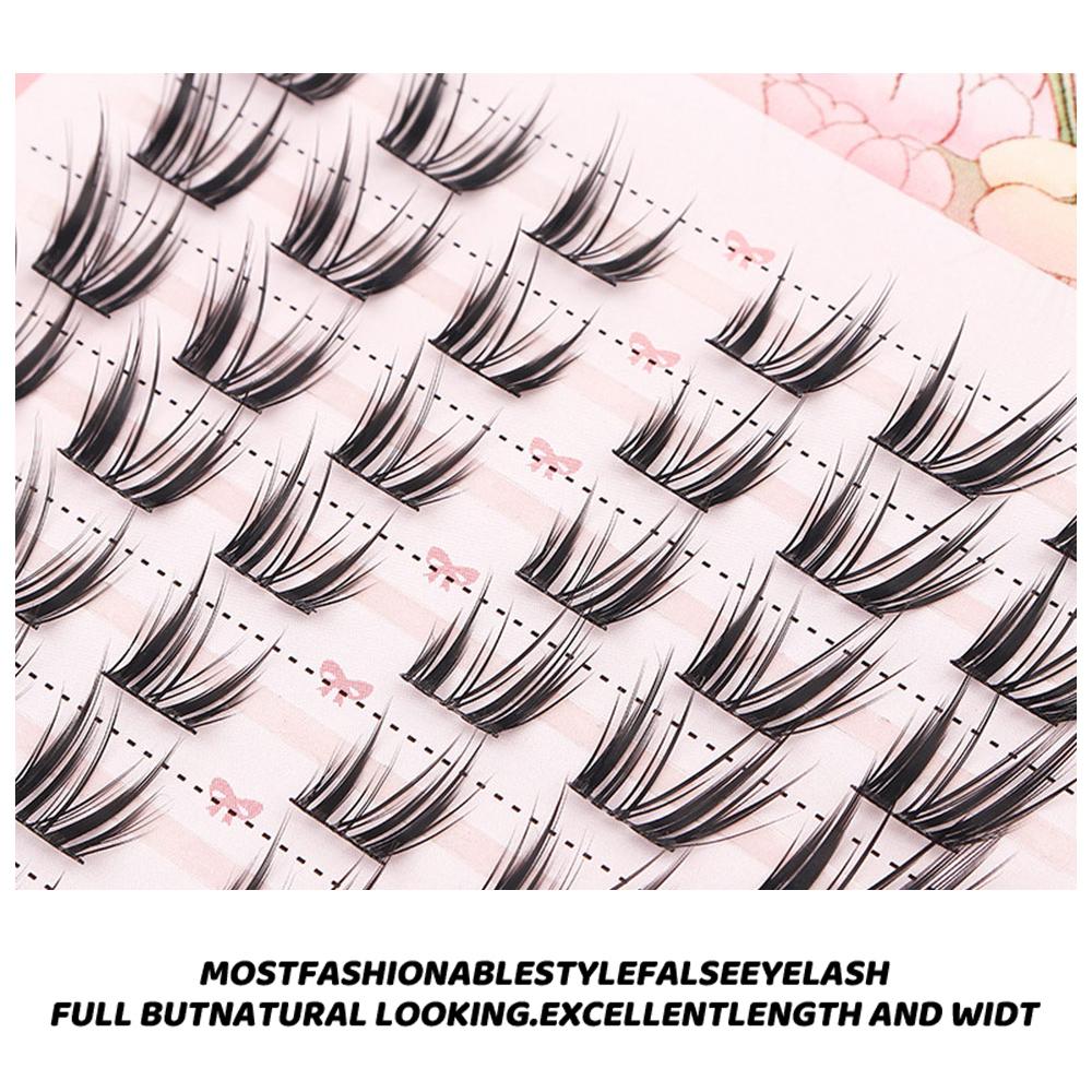 60/100Pcs Natural Fairy Lash C – Eyelash Extension Wet Look Bewertung und Preis