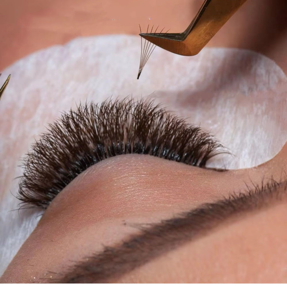 1200Fans 3D 8D 5D Brown Colore – Eyelash Extension Hybrid Bewertung und Preis